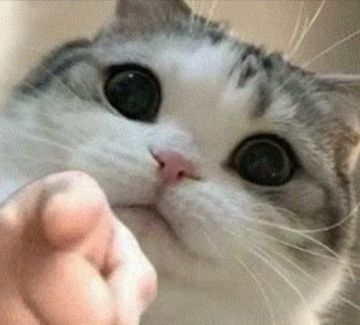 你真的知道自己的职业弱在哪吗