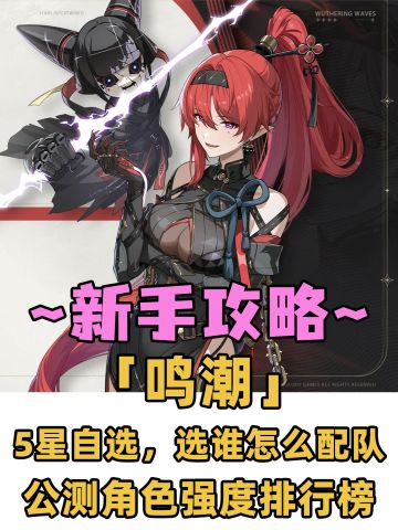 鸣潮自选5星选谁+配队推荐❗附赠强度排行榜❗