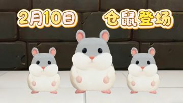 2月10日新萌宠仓鼠登场！