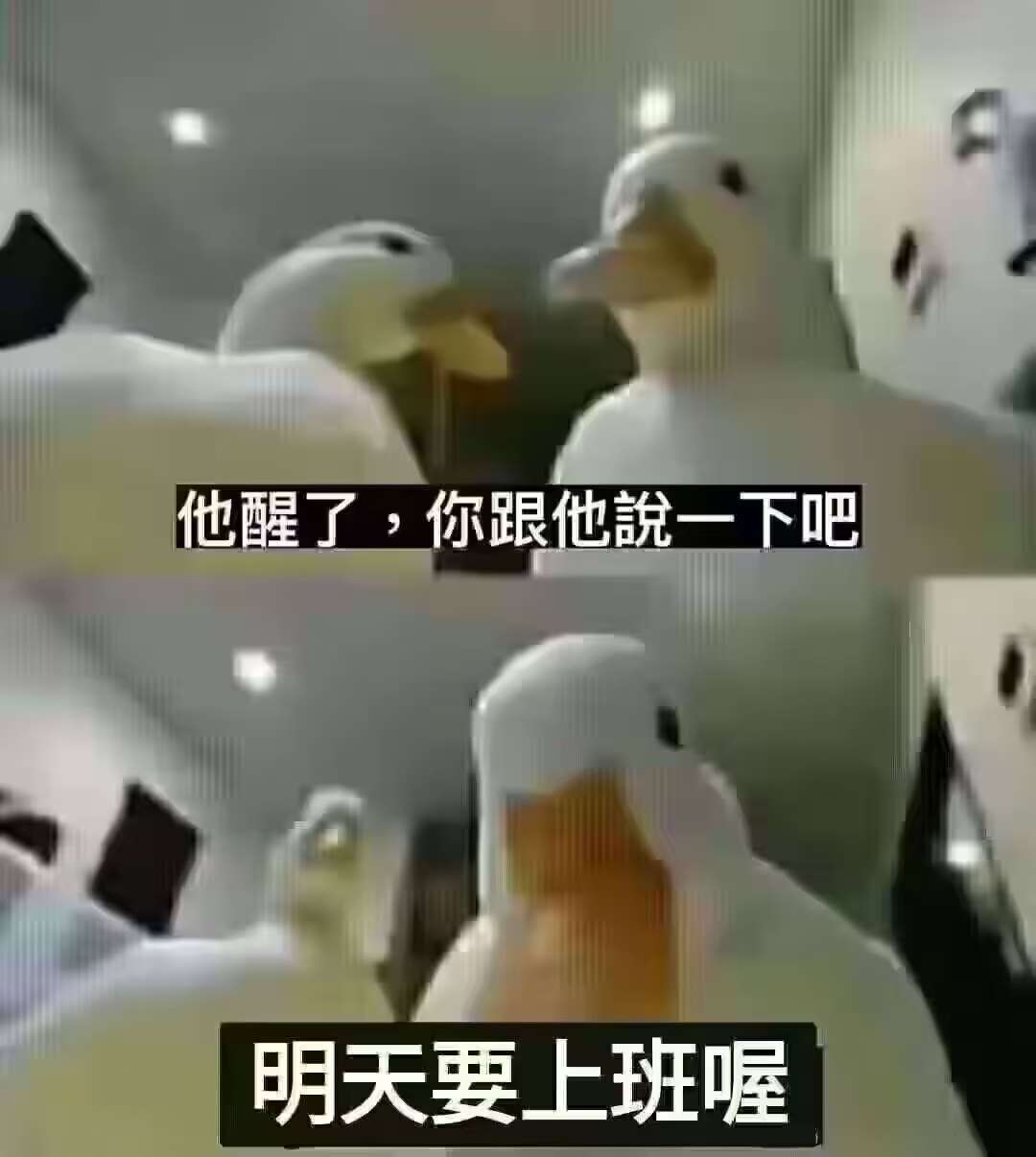 官方说4点45维护完成,然后没动静了 1