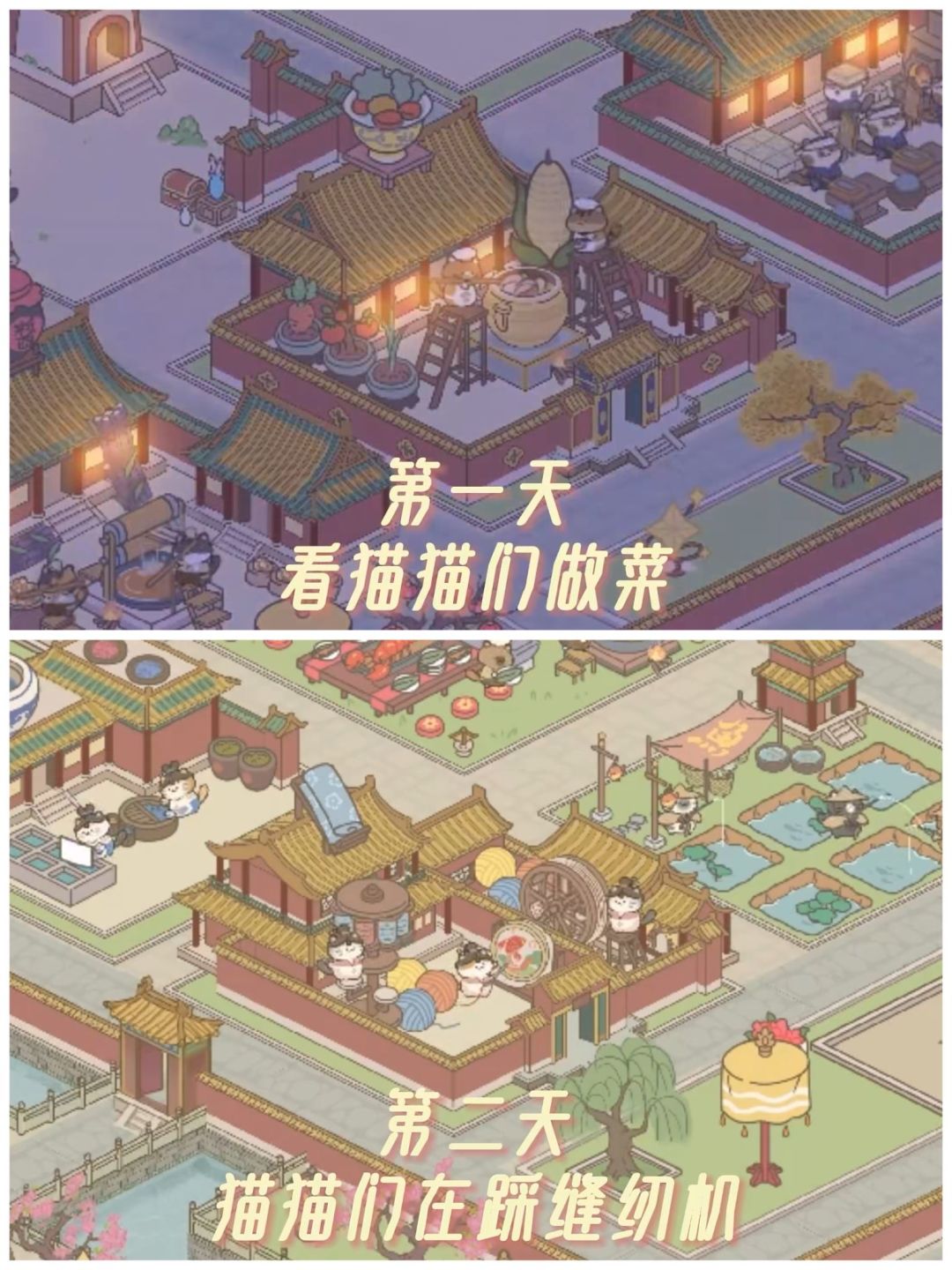 超级可爱猫猫养成游戏💝一大群猫猫💖 2