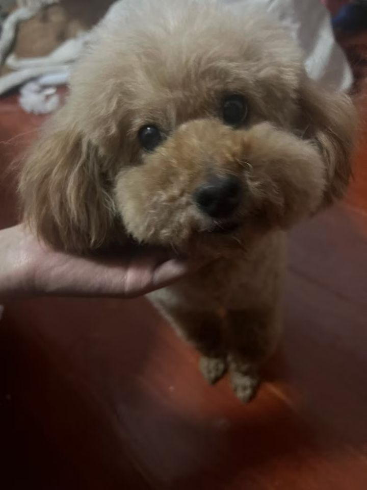 每天都要开心啊。截图