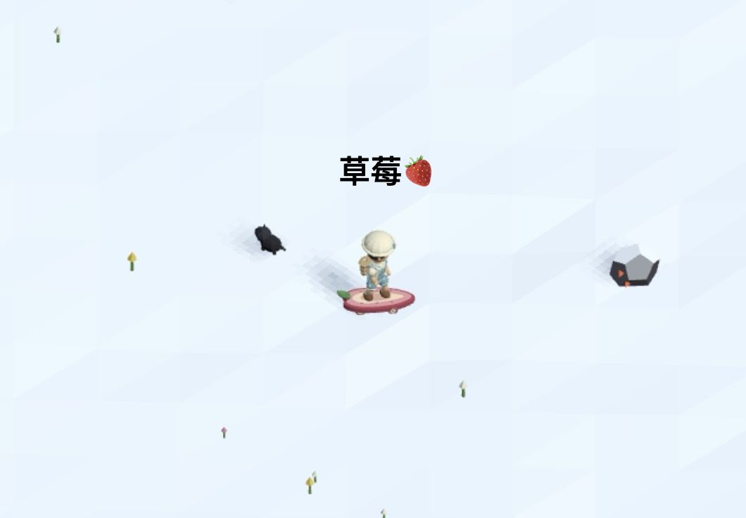 记录/去你的岛/目前拥有的滑板外观 7