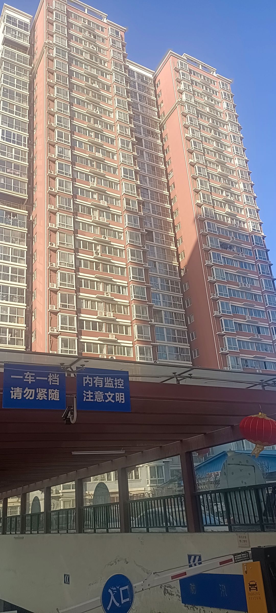 动态图片 5