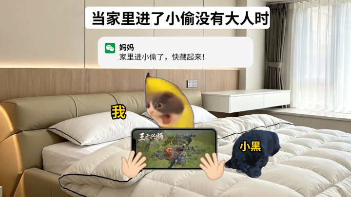 当家里进了小偷没有大人时……截图