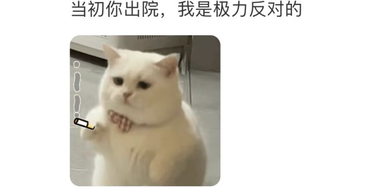 元气骑士，集！结！队伍ID：SKr4x7A6Ky37Wg截图