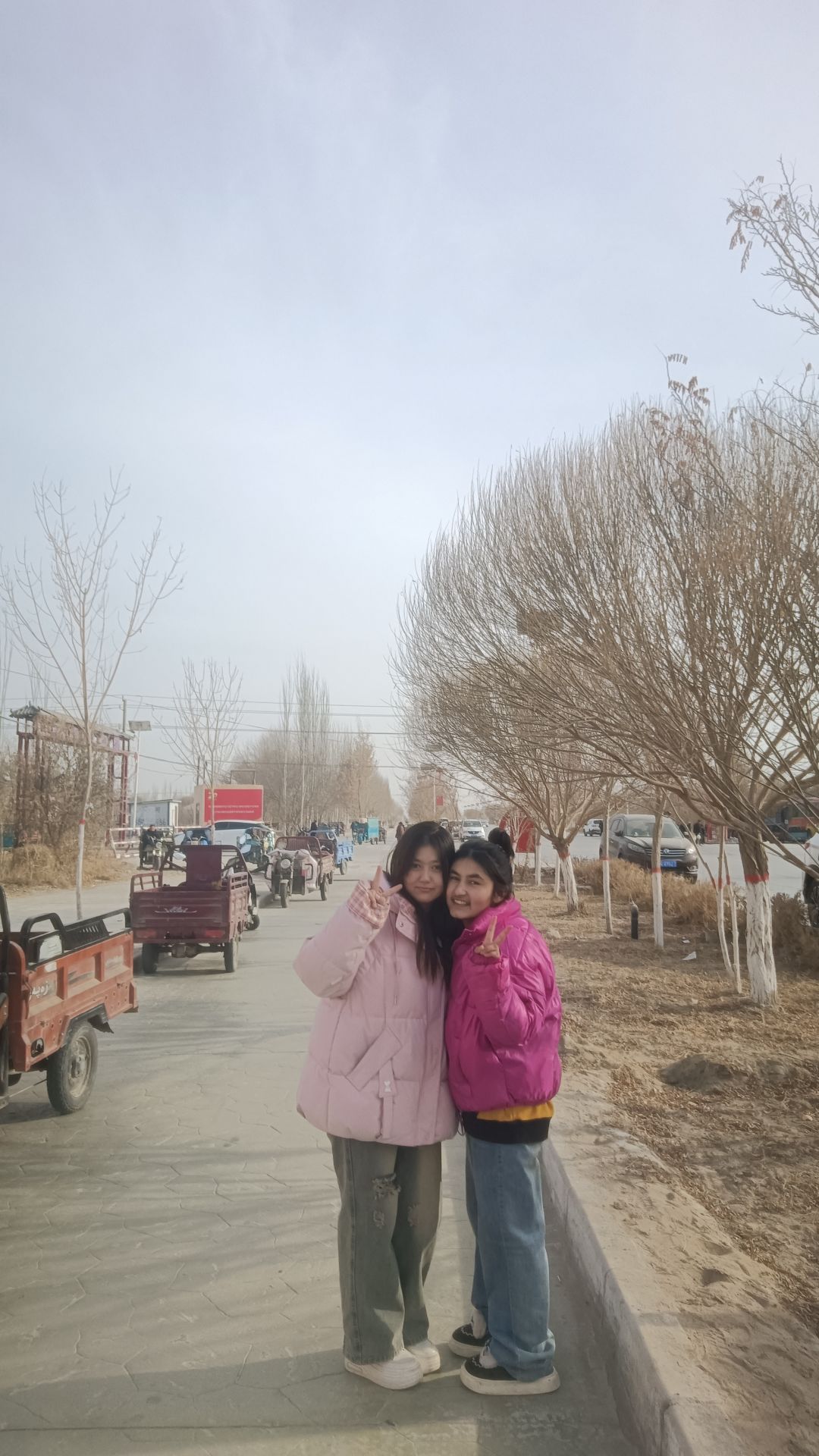 动态图片 15
