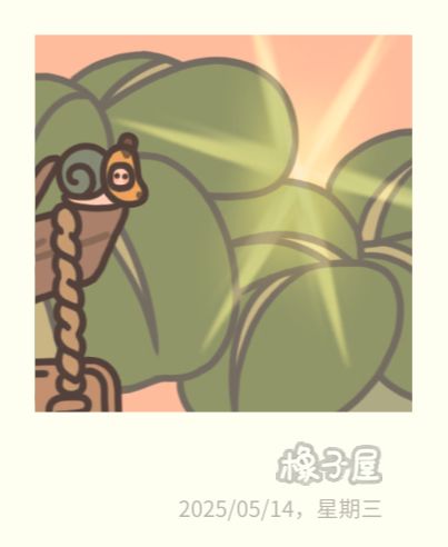 新的!🥰 3