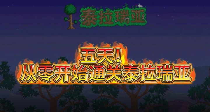 《五一五天通关泰拉瑞亚:从零开始的终极挑战》截图