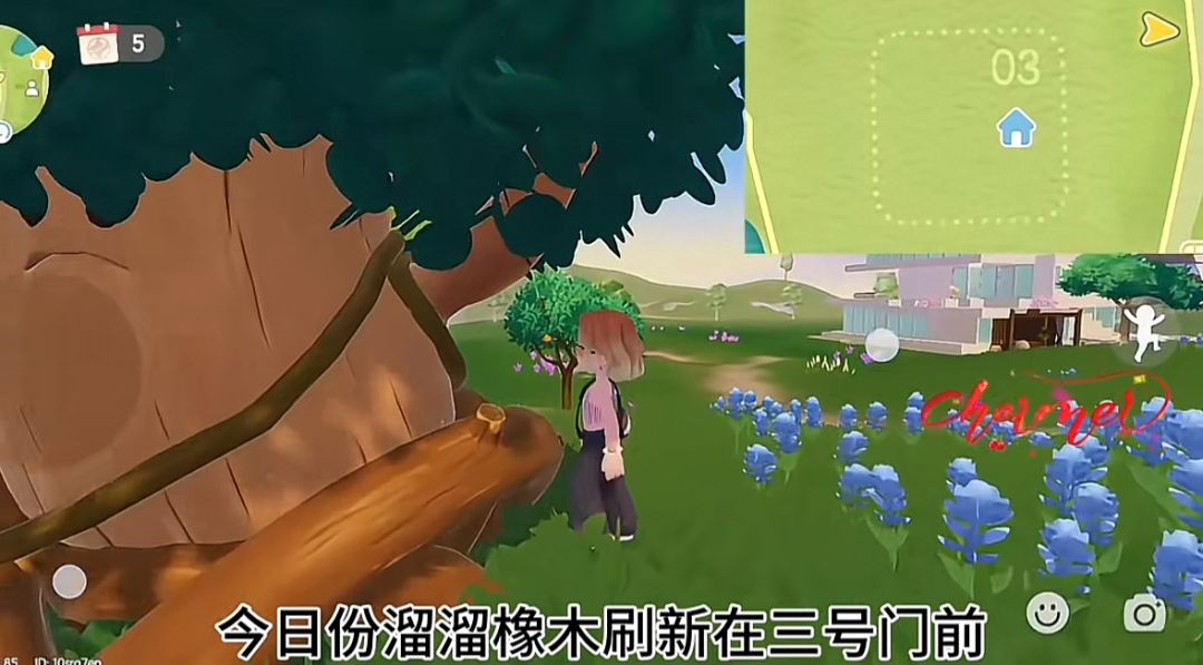 8月20日心动小镇溜溜橡木无暇萤石鸭子位置截图