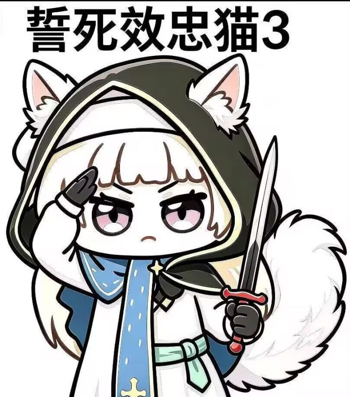 猫3美美隐身了截图
