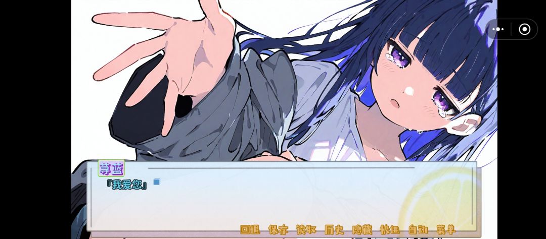 完结 13