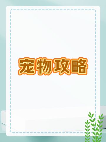 宠物攻略【✅于03.31更正】