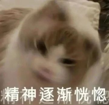 【团长，该开团了！】4月6日版本内容