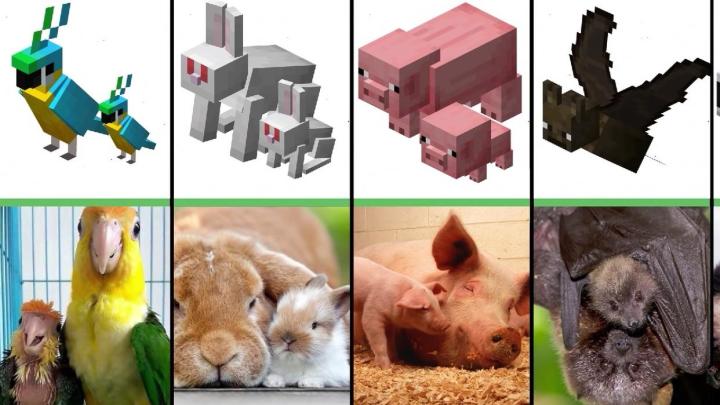 Mc中两个动物与mc中的动物你们觉得哪个最可爱？截图