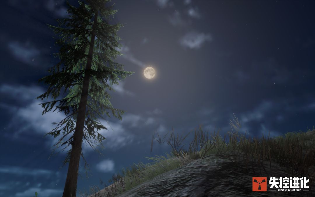 荒岛月夜 2