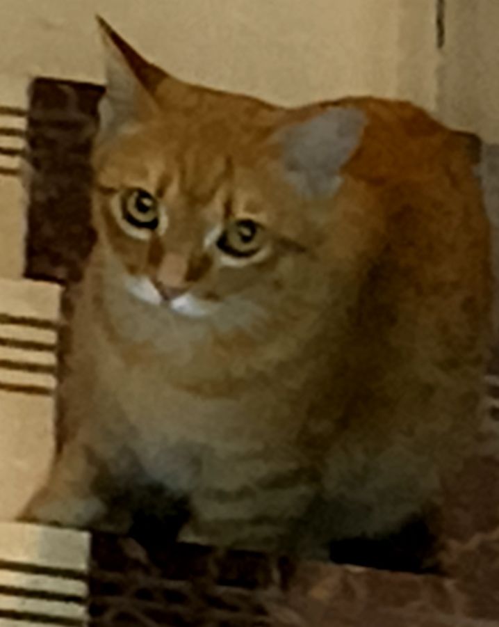 rt 1