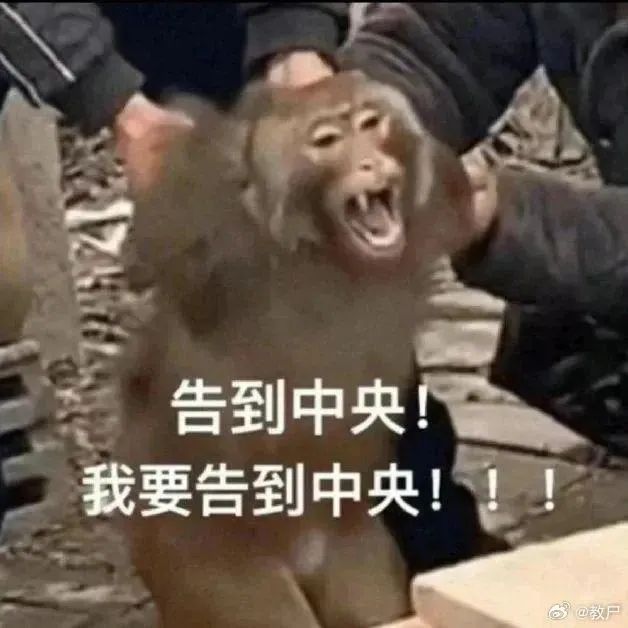买不到高阔，有点不想玩了截图