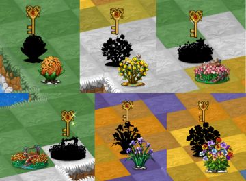 本周活动-花海-钥匙