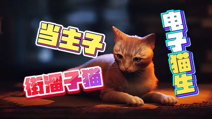 社畜下班变主子🔥来体验电子猫生吧截图