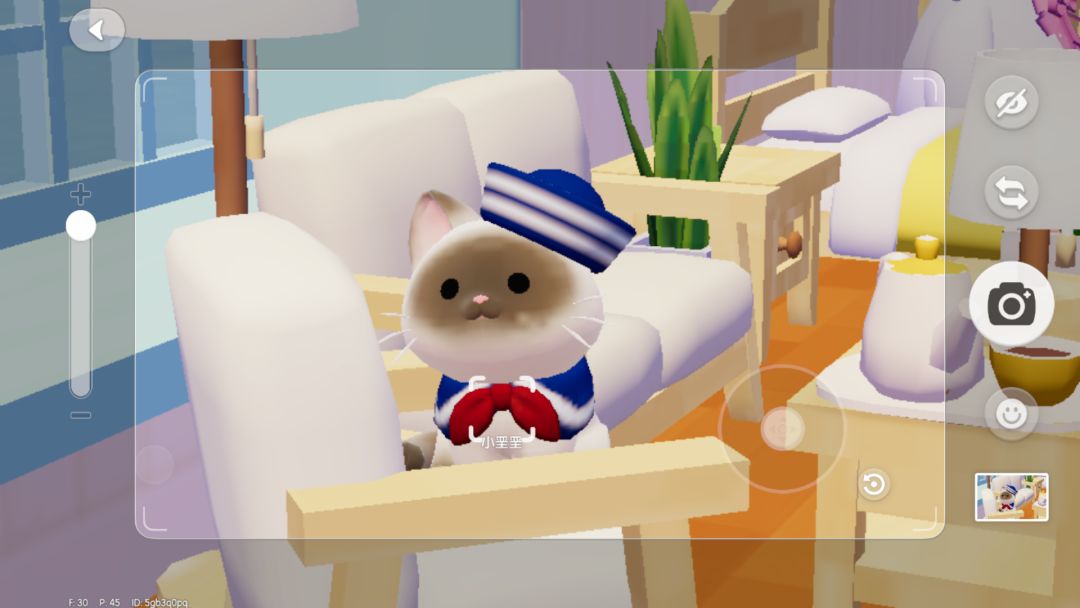 第四天我的猫猫终于主动进屋啦！ 2
