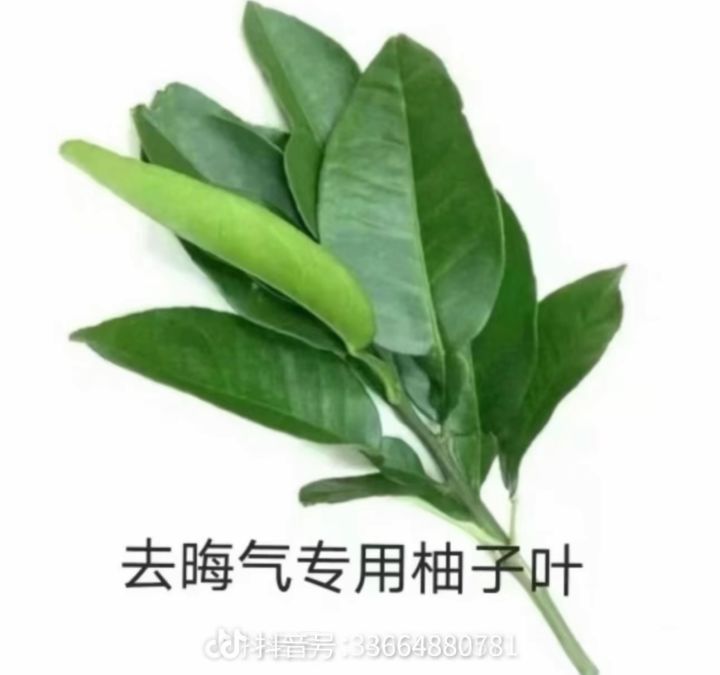 精彩截图分享 2025-10-24截图