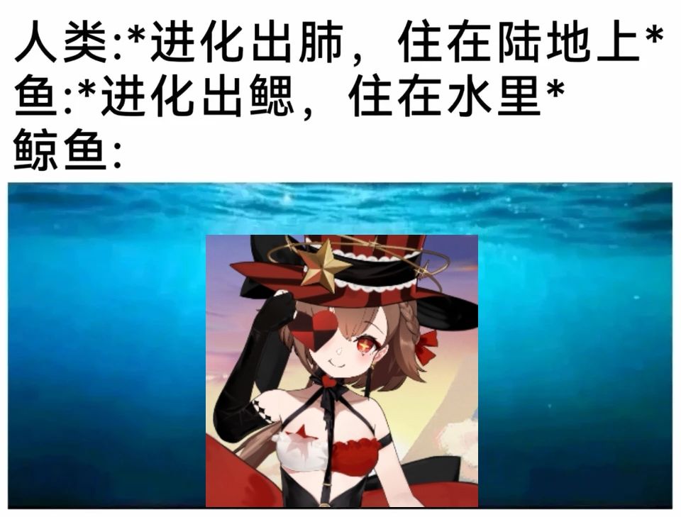 潮汐么么第205期 3