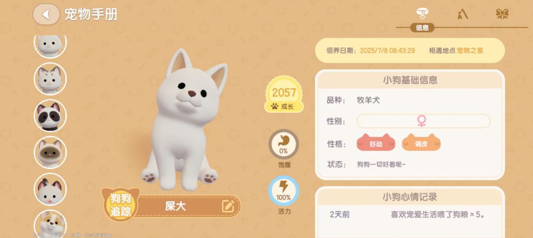 有一起玩的新疆心动小镇搭子嘛 2