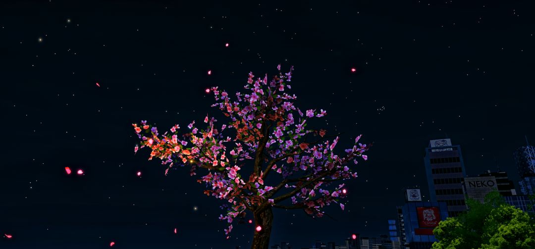 樱花 3