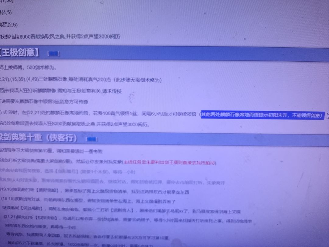 王极剑意 1