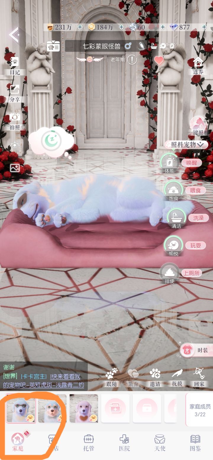 有好心人帮我找一下到底是哪里没点吗截图