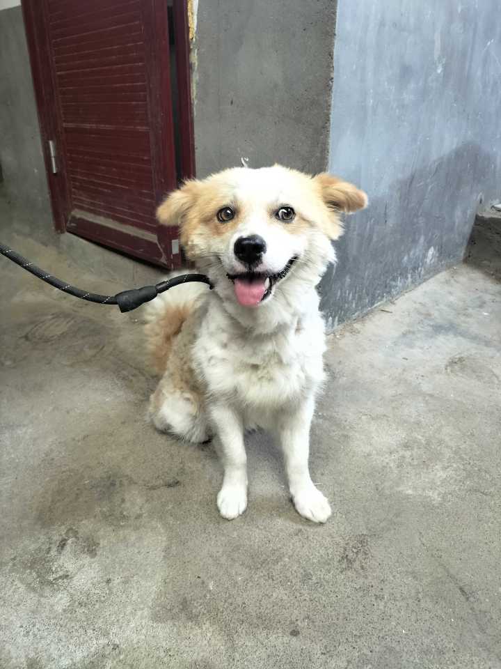 麦芬不知不觉一年了截图