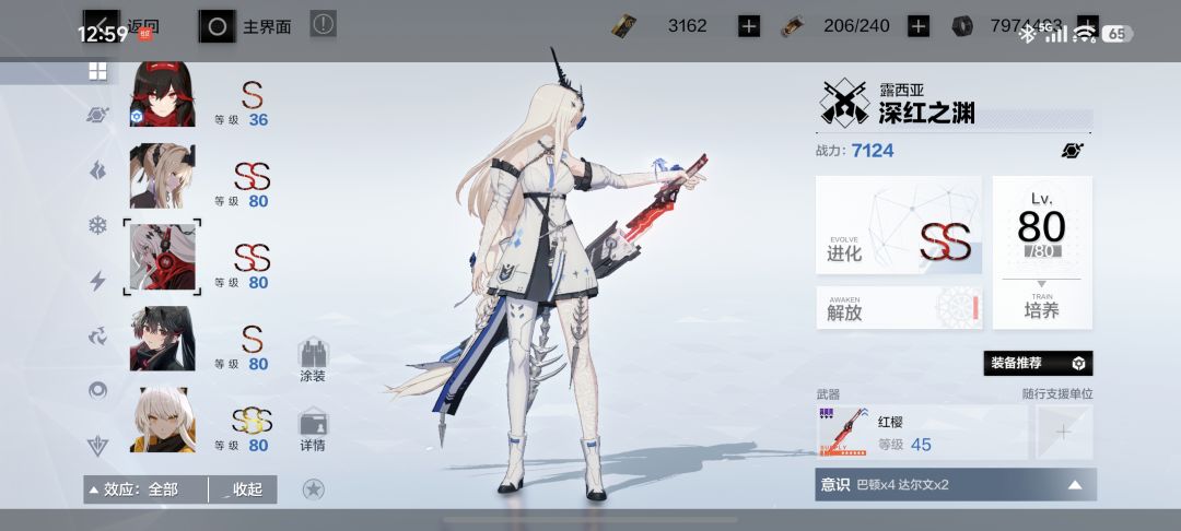 回坑求助怎么配队,求大佬解惑 4