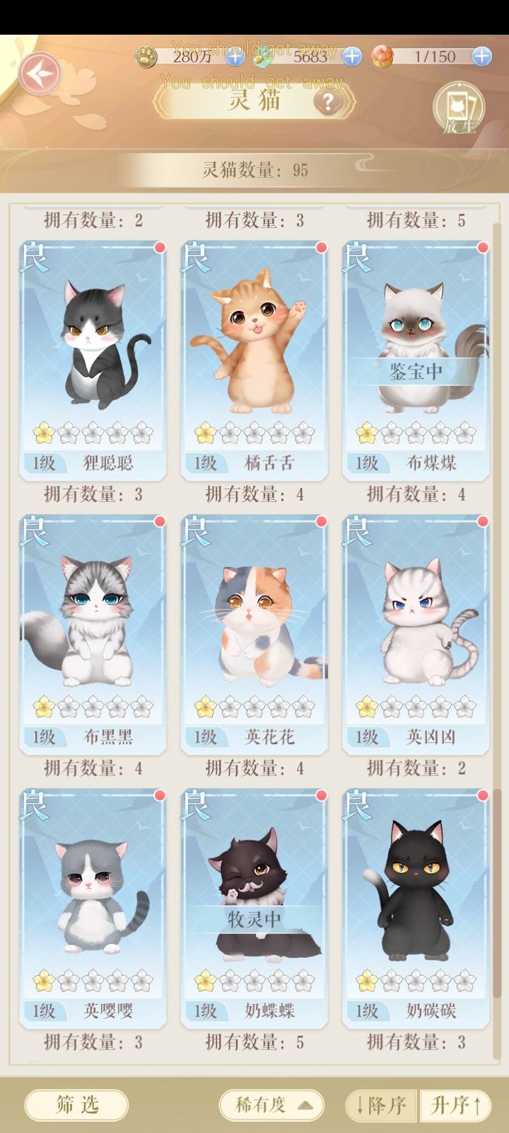 问问大家,现在猫猫怎么养啊呜呜呜 4