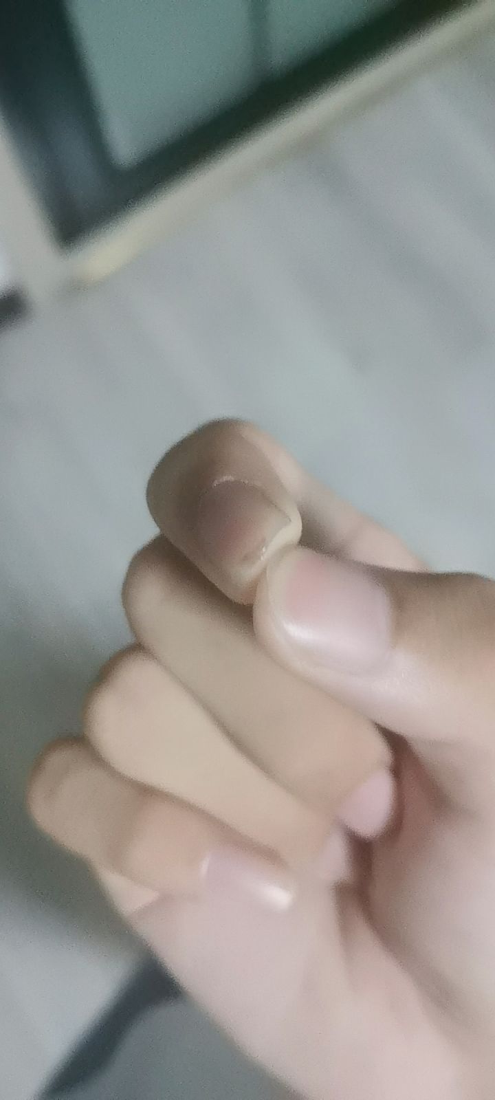 死在了更新前一天截图