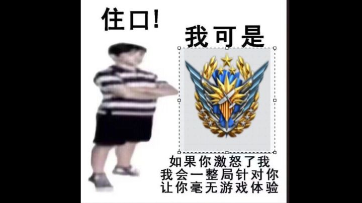 [氵]简单聊聊你游与窝窝屎防空机制的区别截图