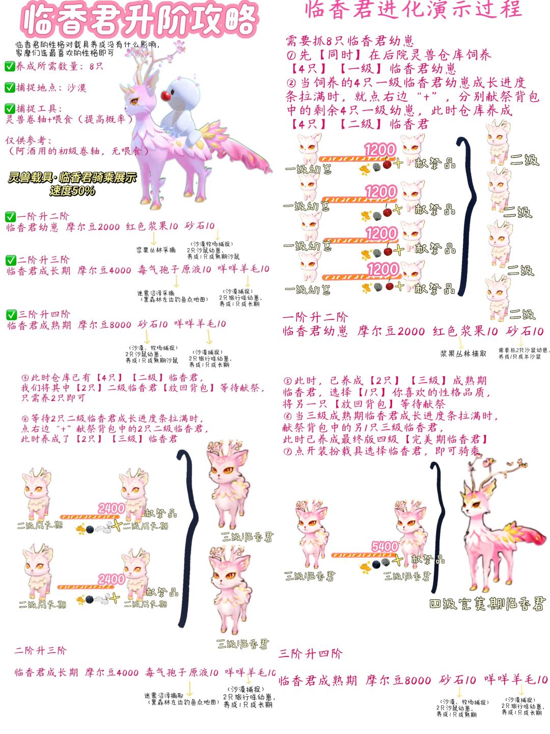 灵兽载具养成攻略合集 2