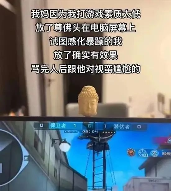 今日份梗图分享 1