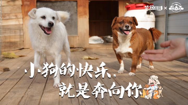 【花园公益季】“梦幻守护”公益之旅暖心回归截图