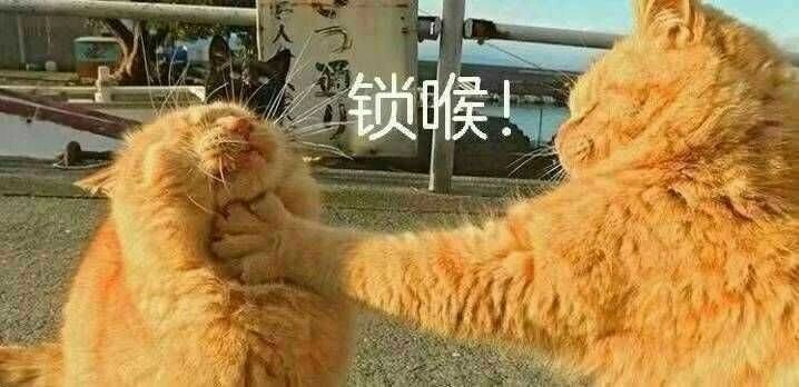 动态图片 6