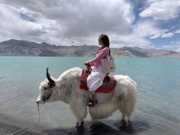 【史官团】公测七区铁骑雄风记录贴