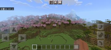 给大家推荐一个1.20国际种子