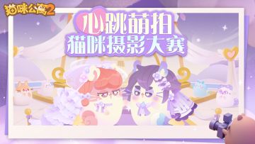 「心跳萌拍」猫咪摄影大赛