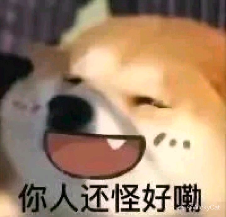 宝藏游戏又又又送皮肤啦截图