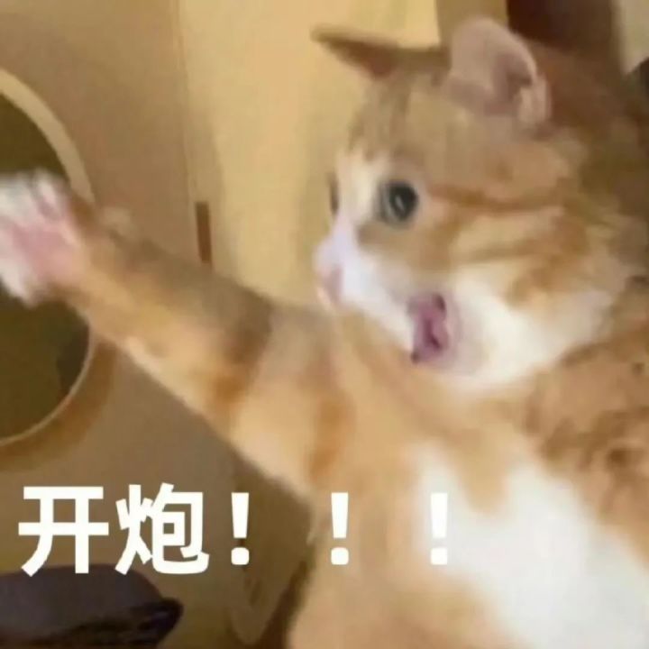 界园boss是认真的么!!!!截图