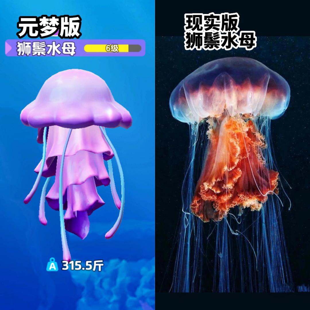 哈哈哈哈元梦的鱼竟真的是写实版!!! 3