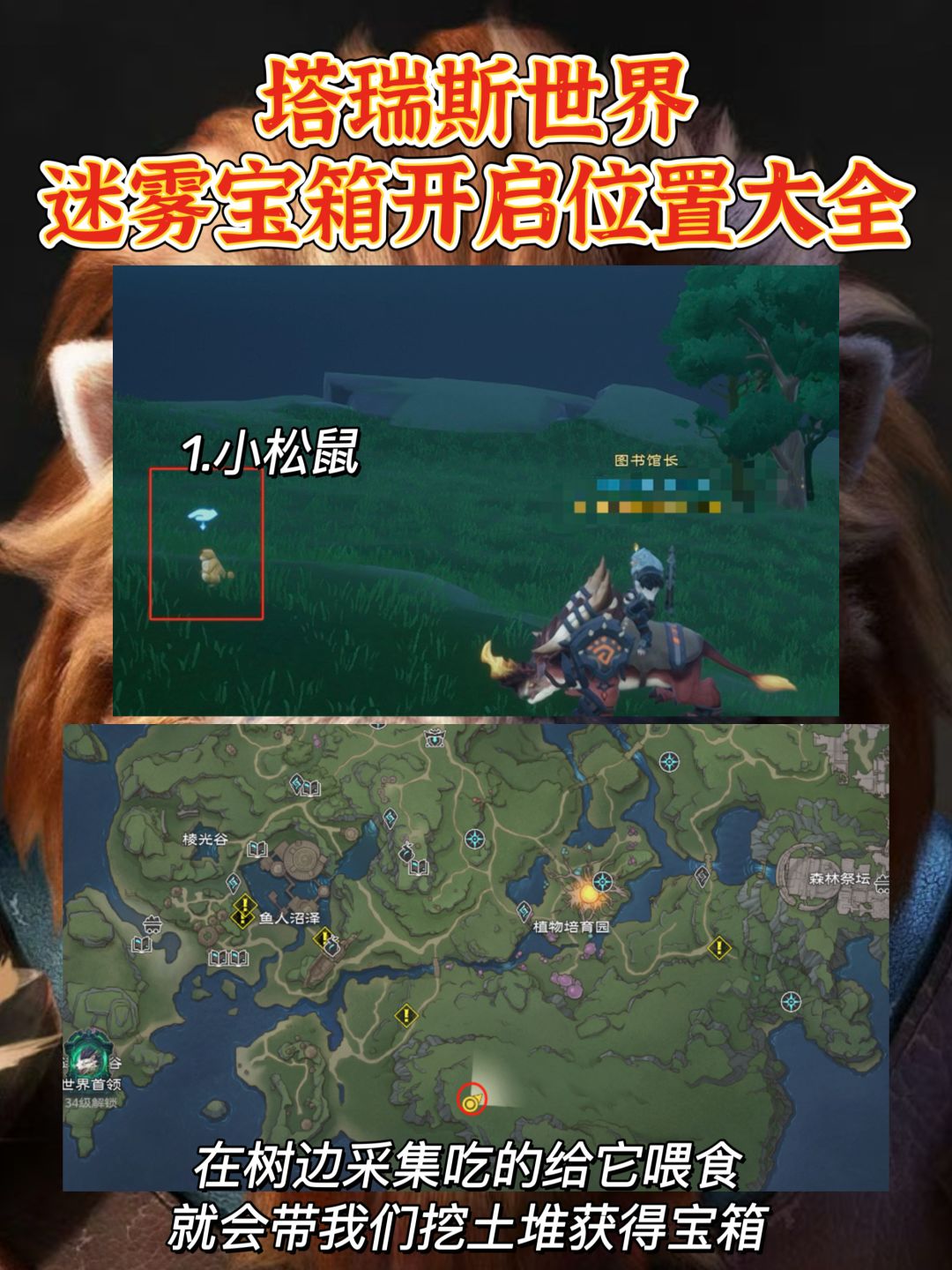 塔瑞斯世界开服第一天！迷雾森林宝箱攻略 2