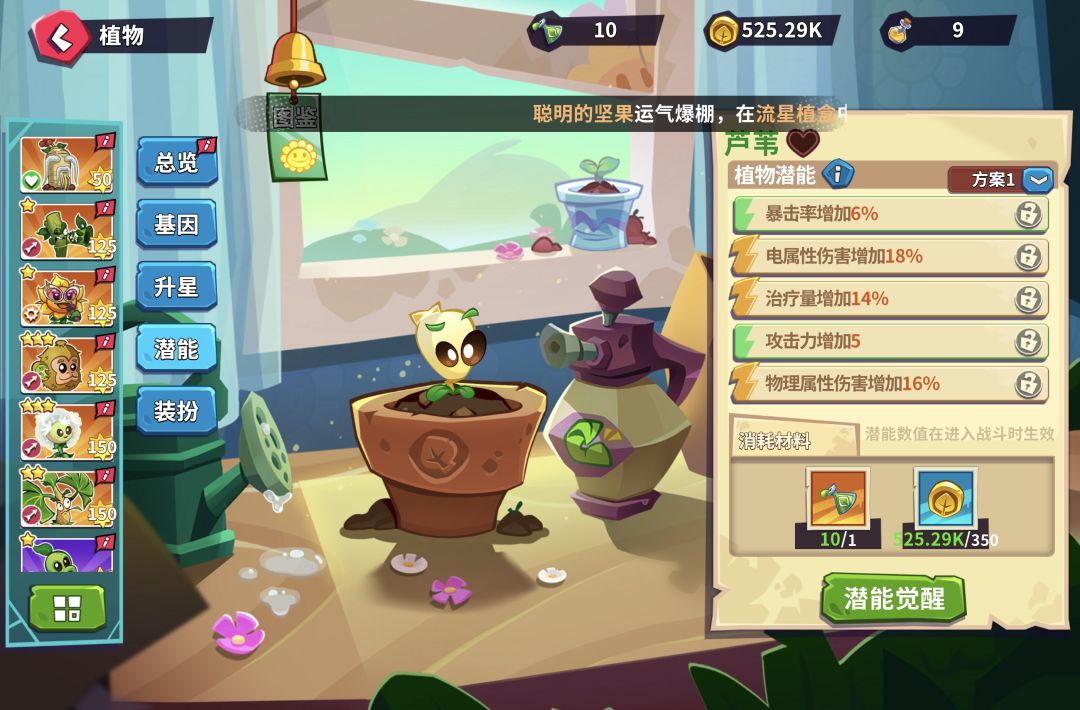 培养啥植物啊 2