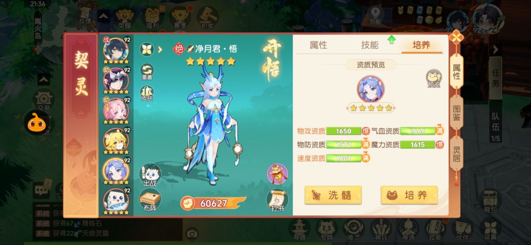 净月鸟外形问题 1
