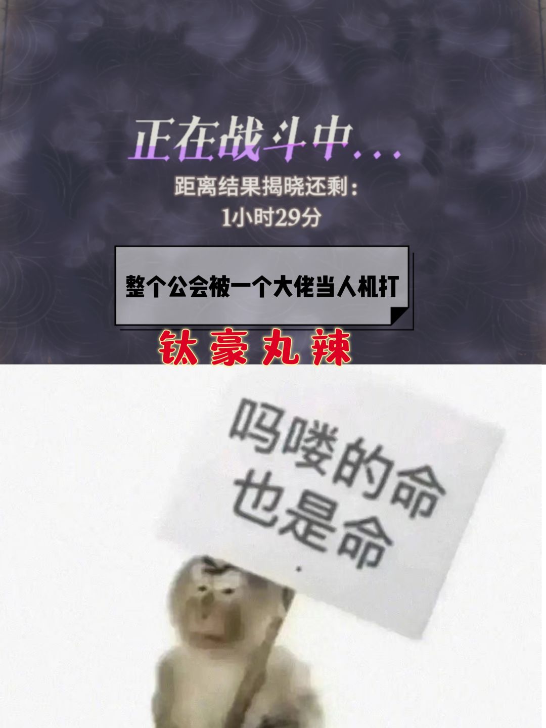 公会战=福布斯排行榜大战 1